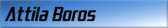 Attila Boros