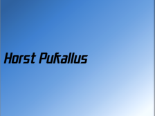 Horst Pukallus